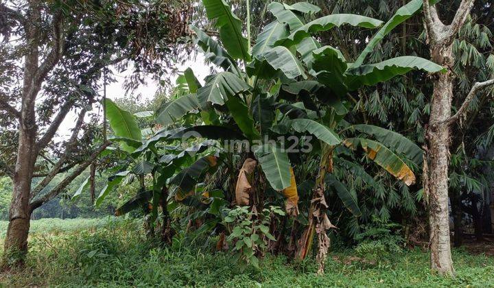 Tanah Pasar Ciseeng Parung Bogor Dekat Lapangan Golf Sawangan 2