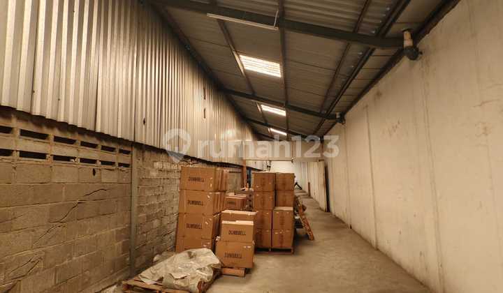 Premium Commercial Dabau