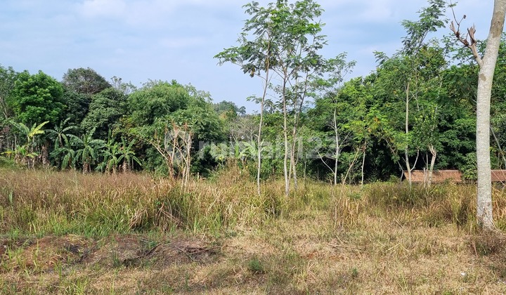 Land 2590 m2 SHM Cileunyi, Bandung