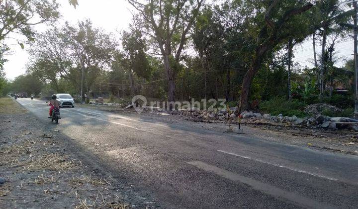 Tanah Murah Sertifikat Hak Milik di Timur Bandara Yia Jogja 2