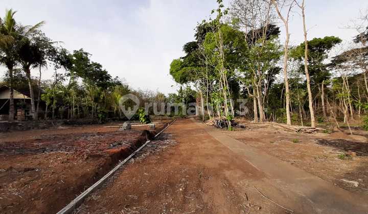 Tanah Murah Depan Studio Gamplong Mili Hanung Bramantyo SHM Ready 8