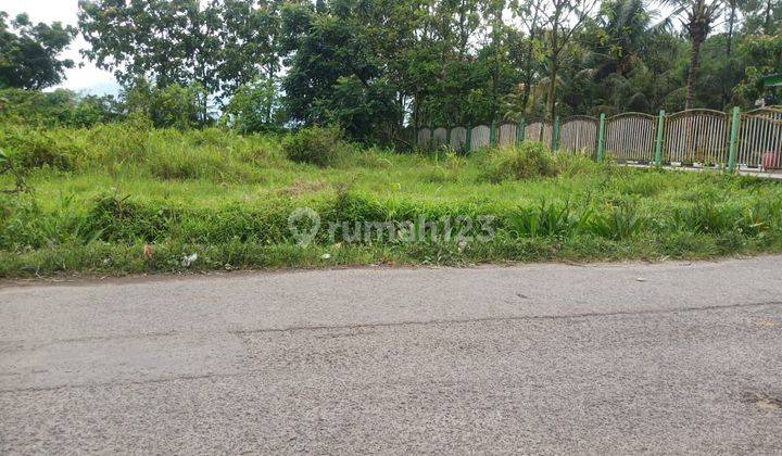 Kapling Tanah Dekat Kampus Ipb, Pinggir Jalan Dekat Danau Situ Gede 3