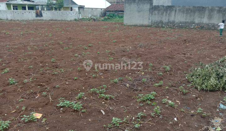 Tanah Kapling Murah Cifor Dekat Puskesmas Cangkurawok 3