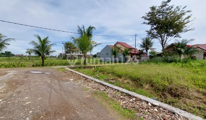 Tanah SHM Dalam Perumahan Griya Palem, Bisa Angsur Tanpa Bunga 2