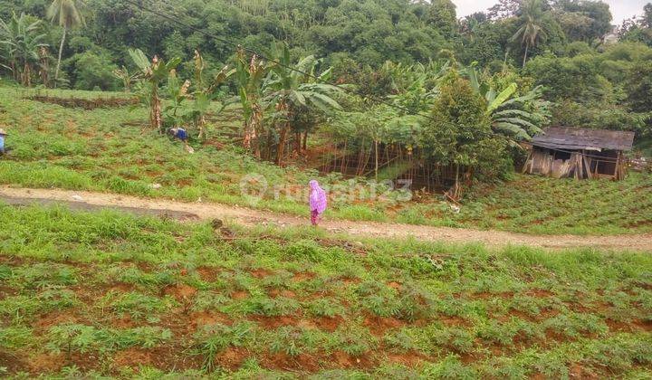 Tanah Bogor Murah Dekat Pasar Ciampea, Harga Terbaik 2