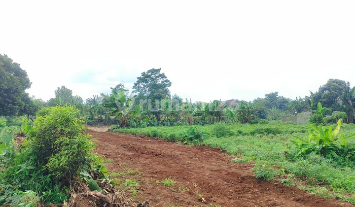 Strategic Bogor Plot Near Future Bojonggede Toll Road Launching Promo 99 Million