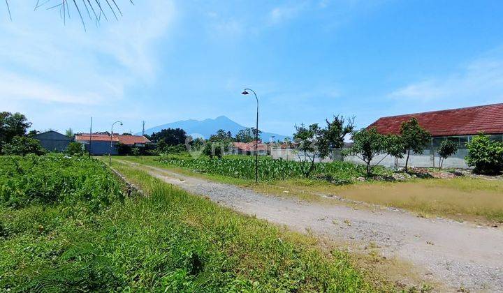 Tanah Murah, Dekat Terminal Bubulak, Sangat Cocok Bangun Rumah 2