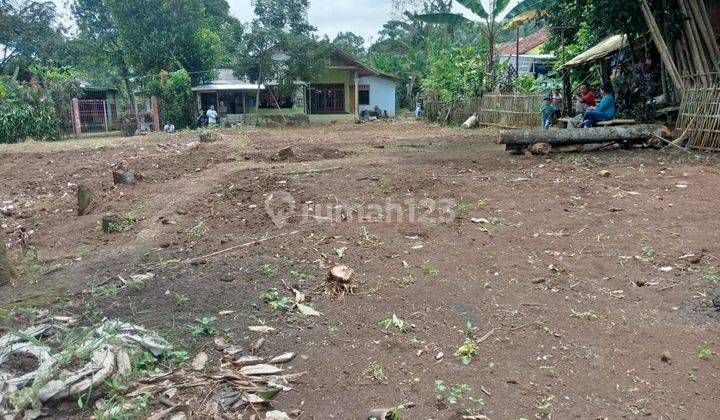 Tanah Murah Dekat Exit Tol Rumpin Pilihan Investasi Tepat 2