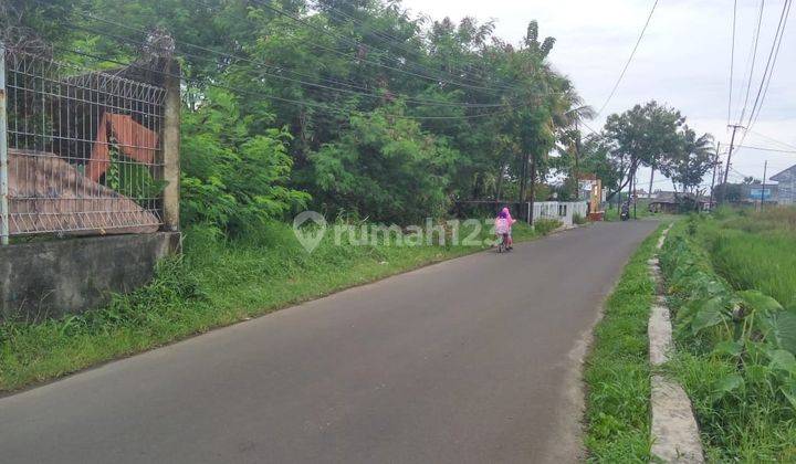 Kavling Rumah Atau Kost Dekat Terminal Bubulak Ipb, Lokasi Prima 2