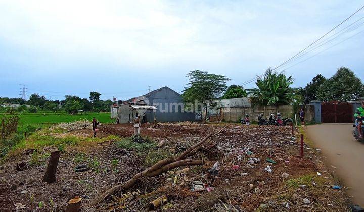 Dekat Jalan Bomang, Jual Kapling Shm, Investasi Pilihan Menguntungkan 1