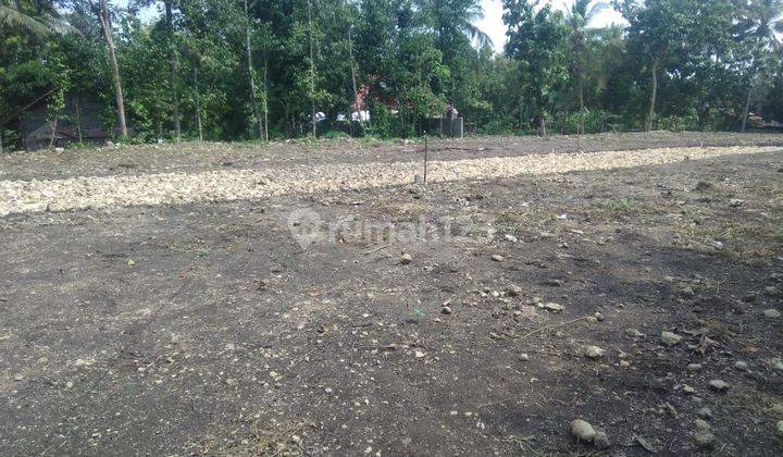 Tanah SHM Paling Murah Di Bogor Area Perumahan Ciampea Asri 1