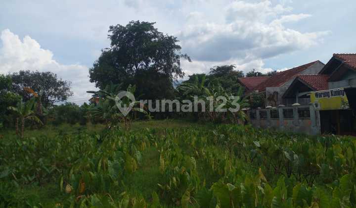 Tanah Ciomas Dekat Terminal Laladon Tepat Untuk Bangun Rumah; Free SHM