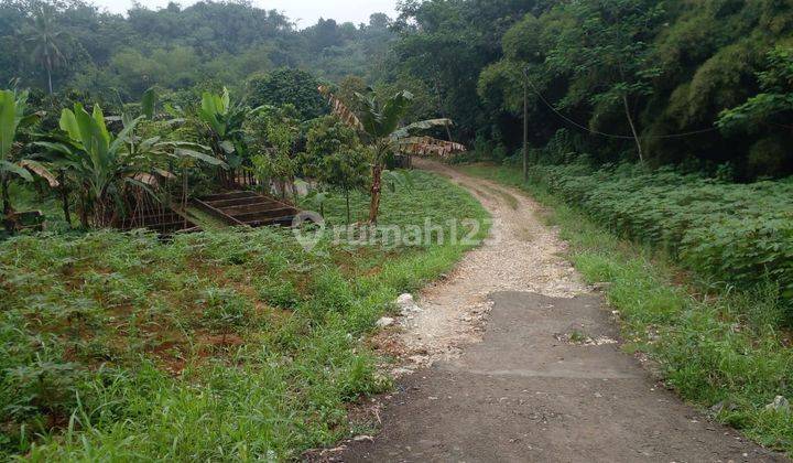 Tanah Murah Di Perumahan Ciampea Asri SHM Per Kavling. Promo Imlek 1