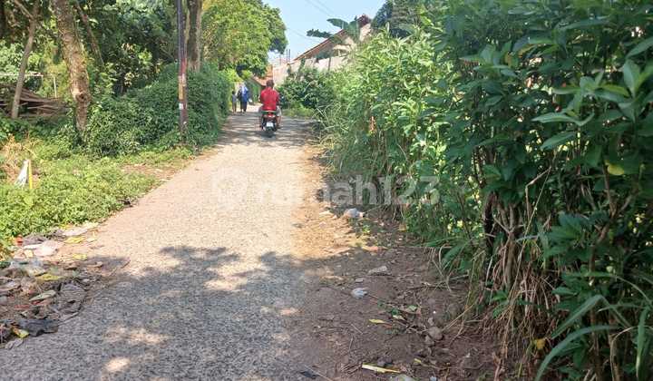 Tanah Ciomas Dekat Terminal Laladon Tepat Untuk Bangun Rumah; Free SHM
