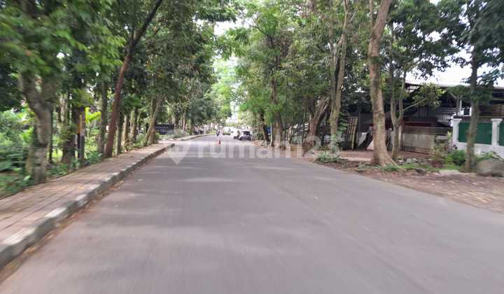 Tanah Cifor Bogor PInggir Jalan Aspal Cocok Untuk Usaha 2