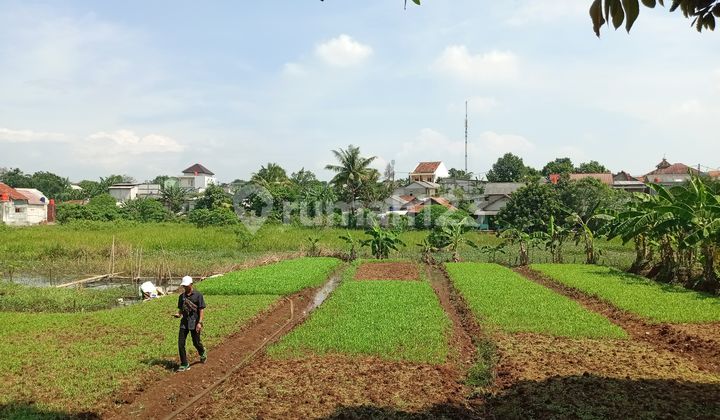 12 Minutes to Cilebut Station, Bogor Plot Bonus AC & Washing Machine 12 Minutes to Cilebut Station, Bogor Plot Bonus AC & Washing Machine