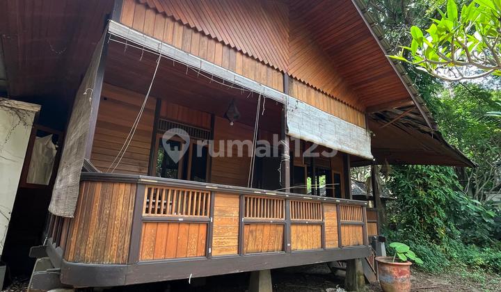 Dijual Melalui Lelang Rumah Di Cilandak Dengan Luas 3050