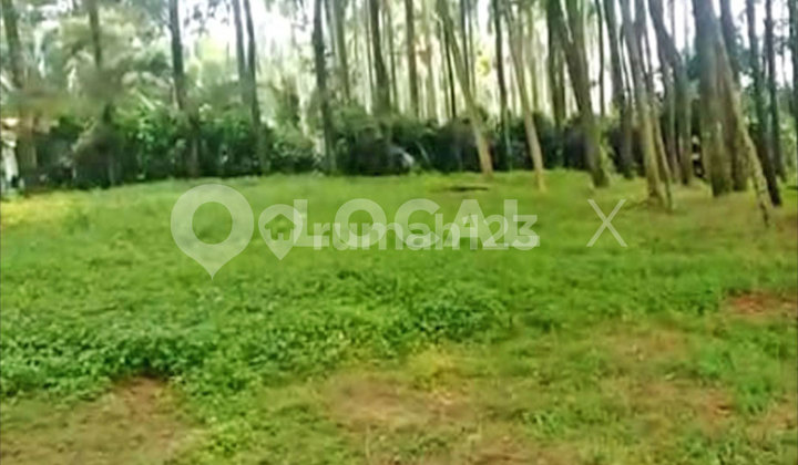 Lodaya Land Plot, Gunung Geulis Sukaraja, Bogor, West Java