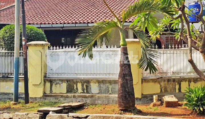 Rumah Kayu Putih Pulo Gadung, Jakarta Timur