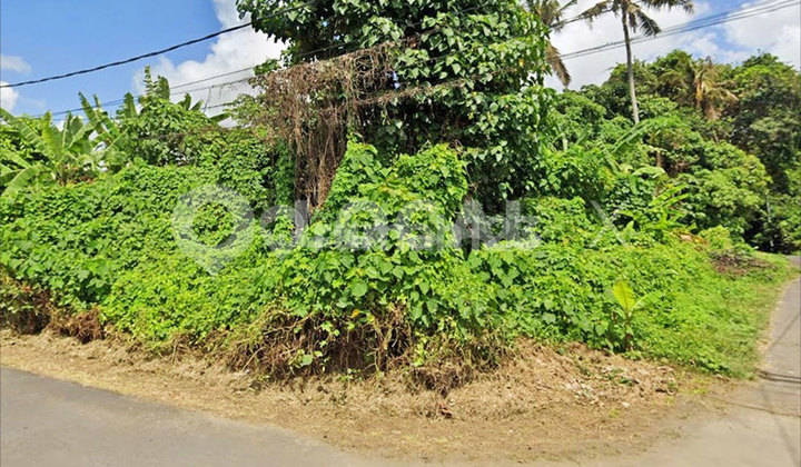 Lodtunduh Land Plot, Ubud, Gianyar, Bali