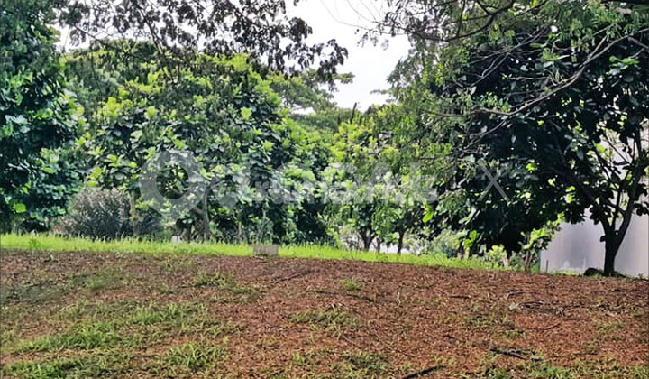 Kavling Tanah Royal Orchard, Kelapa Gading, Jakarta Utara