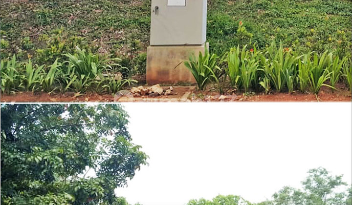 Rumah Kayu Putih Pulo Gadung, Jakarta Timur 2