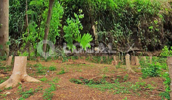 Tanah Kavling Raya Kelapa Dua Wetan, Ciracas, Jakarta Timur 1