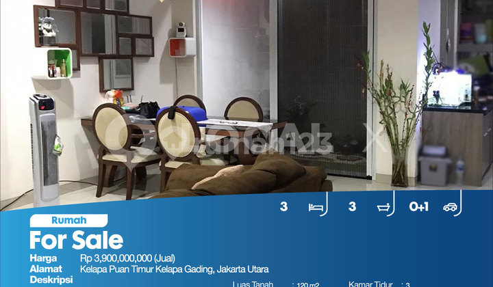 Rumah Kelapa Puan Timur Kelapa Gading, Jakarta Utara 2