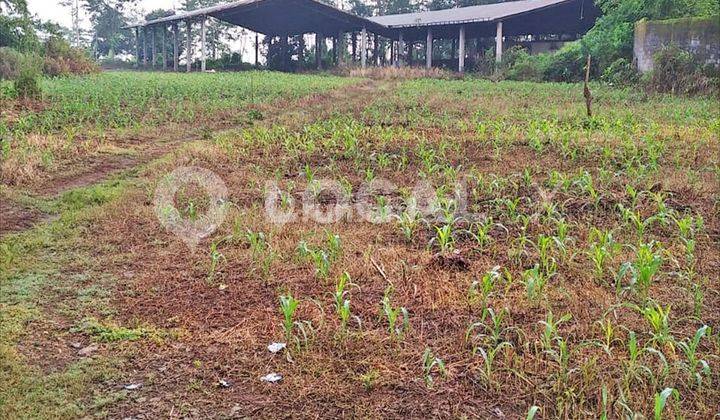 Tanah Kavling IR Soebagiono Tjodrokusumo Polaman, Mijen, Semarang, Jawa Tengah 1