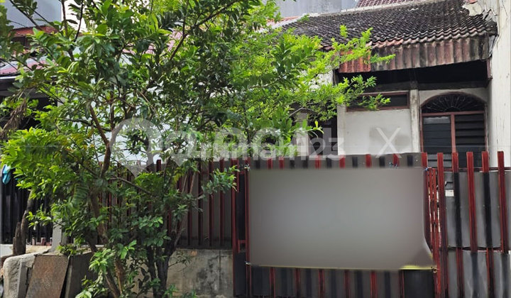 Rumah Janur Hijau, Kelapa Gading, Jakarta Utara Rumah Janur Hijau, Kelapa Gading, Jakarta Utara