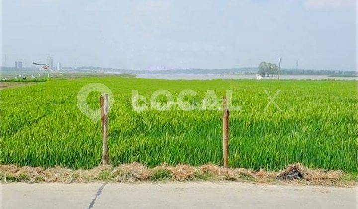 Tanah Kavling Wadas, Telukjambe, Karawang, Jawa Barat 1