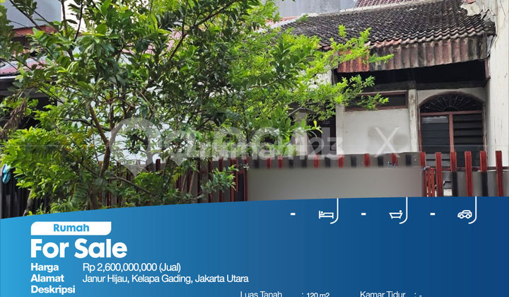 Rumah Janur Hijau, Kelapa Gading, Jakarta Utara 2