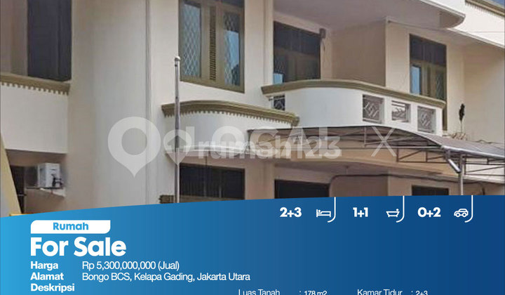 Rumah Bongo Bcs, Kelapa Gading, Jakarta Utara 2