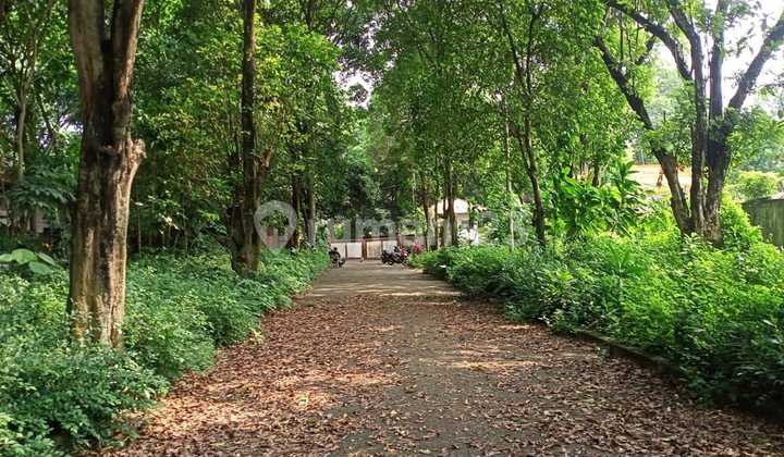 Teuku Umar Menteng, Lokasi Terbaik, Strategis, Jalan Besar, Langka 1