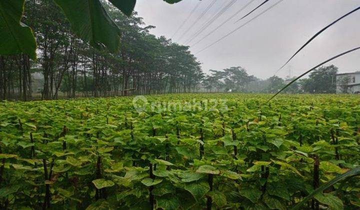 Tanah di Cikarang, Bekasi, Jawa Barat, u/ perumahan, pergudangan 1