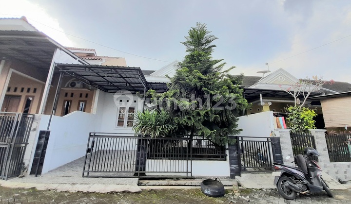 Rumah Siap Huni Sapphire Karangwangkal Dekat Unsoed Rumah Siap Huni Sapphire Karangwangkal Dekat Unsoed