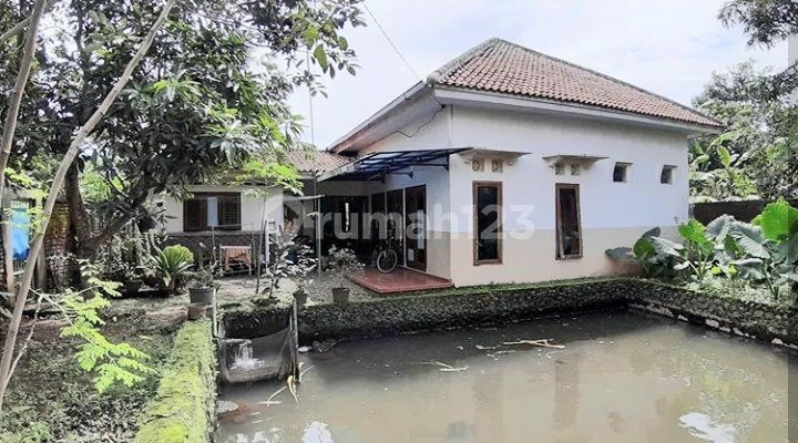 Non-Perumahan Rural Ambiance House in Bobosan Near Station