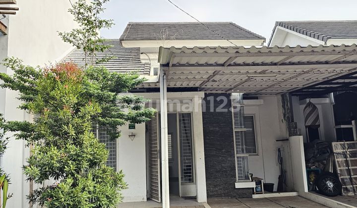 Rumah Bagus Shm Serpong Garden 2 Di Bsd.