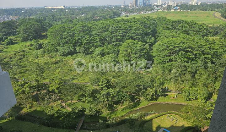 Apartemen Marigold Nava Park 2 Kamar Tidur Semi Furnished Baru 2