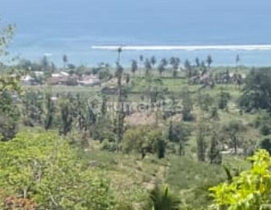 Tanah 3000m2 Praya bukit torok ocean view cocok untuk bisnis  1