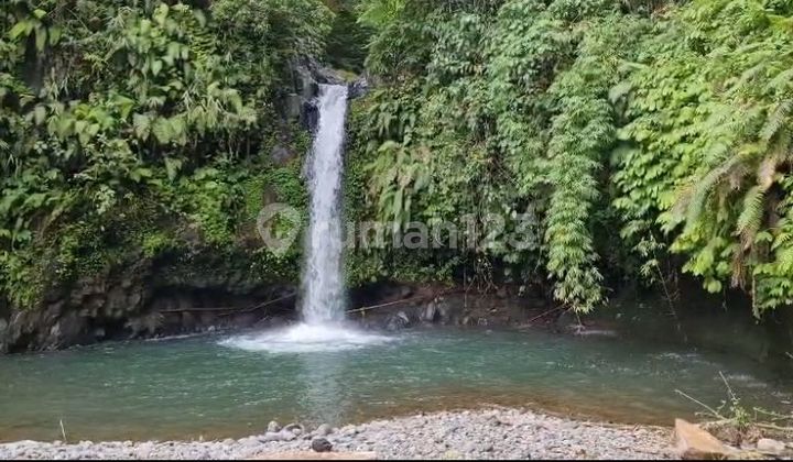 Tanah Air Terjun di Singaraja 9870.0 M² SHM