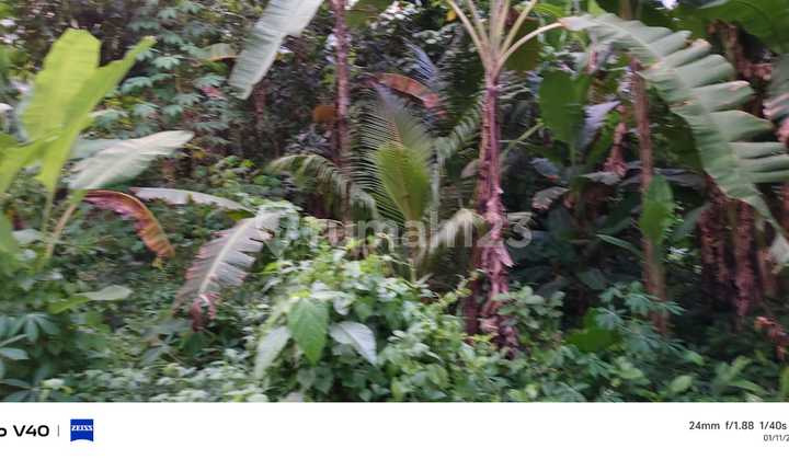 Tanah Murah di Tibubiyu 500 M² SHM