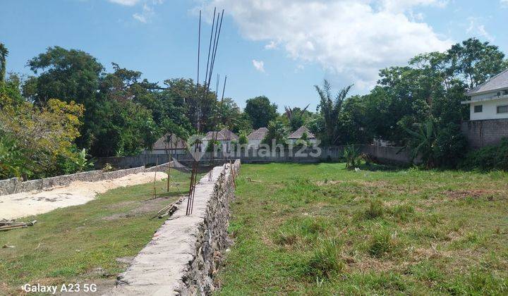 Tanah Murah Di Umalas Bumbak SHM - Sertifikat Hak Milik 400 m² 1