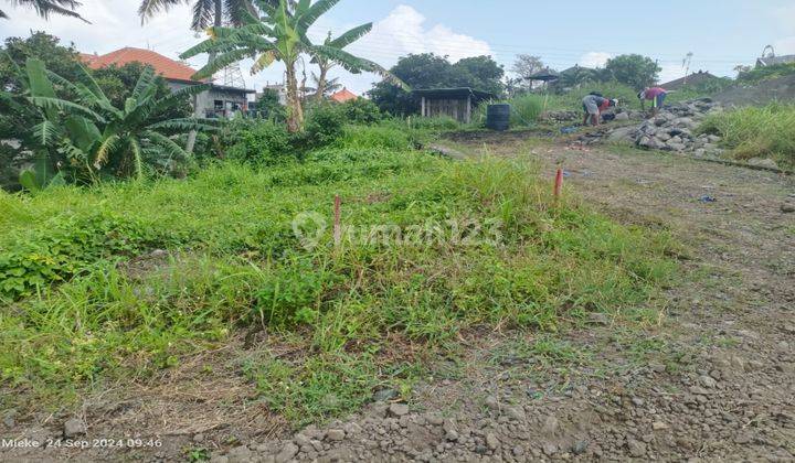   Tanah Murah  Di Canggu Buduk Tunon  SHM - Sertifikat Hak Milik 102 Squaremeter 2