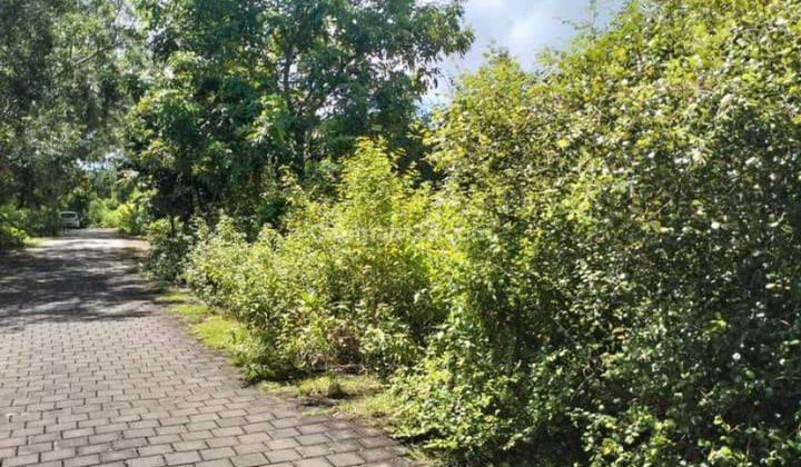  Tanah di Jalan pecatu, Jimbaran SHM - Sertifikat Hak Milik 500 M²