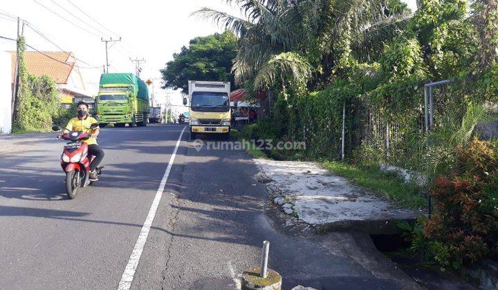  Tanah Di Muding Gatsu Shm - Sertifikat Hak Milik 600 M² 1