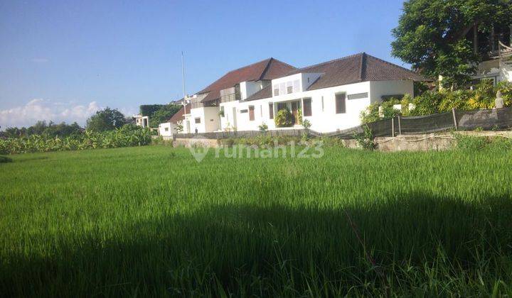  Land in Seminyak SHM - Certificate of Ownership 4800 M² 1