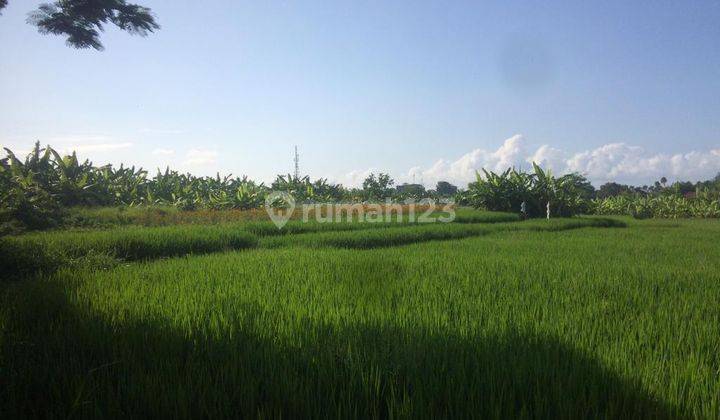  Land in Seminyak SHM - Certificate of Ownership 4800 M² 2