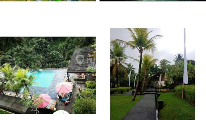 Hotel Ubud  Furnished Bagus HGB - Hak Guna Bangun di Ubud 2