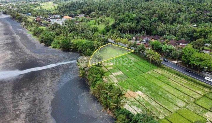  Tanah di Pecatu SHM - Sertifikat Hak Milik 3920 M² 2